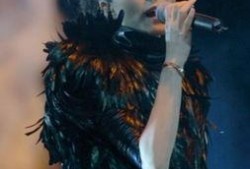 娱乐大爆料王菲,娱乐大爆料的背后故事