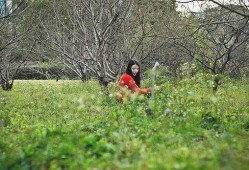春天里全集在线观看,全景呈现我国春日风情