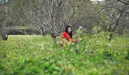 春天里全集在线观看,全景呈现我国春日风情