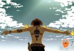 航海王壮志雄心艾斯最新爆料