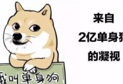 娱乐吃瓜君脱单冷知识,那些你不知道的脱单冷知识