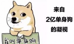 娱乐吃瓜君脱单冷知识,那些你不知道的脱单冷知识