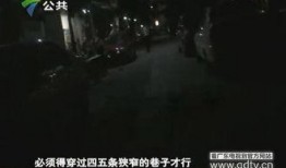 王先生最新爆料,揭秘娱乐圈惊人内幕