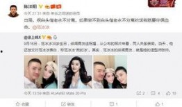 圈内人爆料成毅新恋情,神秘女友引网友热议