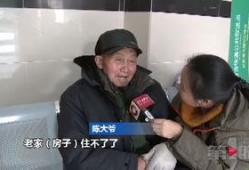 陈大爷最新爆料,揭秘事件背后惊人真相
