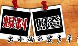 最方便的新闻爆料平台,揭秘最热门新闻事件背后的真相