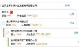 丰源万业爆料视频最新版,行业动态与未来趋势深度解析