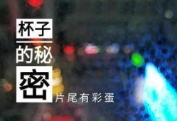 金星爆料酒店视频大全播放,揭秘娱乐圈不为人知的幕后故事