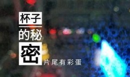 金星爆料酒店视频大全播放,揭秘娱乐圈不为人知的幕后故事