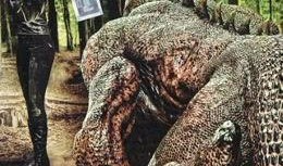 怪物惊魂在线观看,惊悚之夜，在线惊悚体验