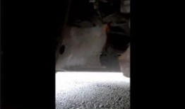 速腾最新爆料视频播放大全