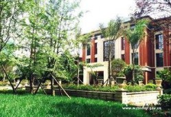 唐河梦想家园爆料视频,社区生活全景呈现