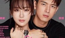 娱乐大爆料杨紫头条,娱乐大爆料背后的精彩瞬间