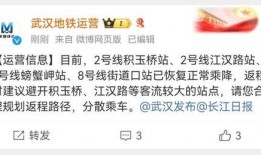 武汉极目新闻爆料事件是真的吗