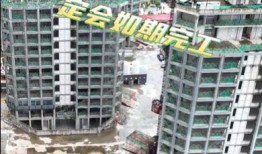新闻爆料楼盘开发商,业主维权引发关注