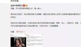 刘鑫媳妇爆料视频播放,揭秘事件背后惊人真相