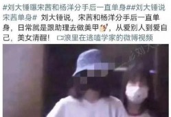 刘大锤爆料宋茜视频,揭秘明星幕后生活片段