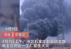 东营媒体爆料事件视频播放,视频内容引发社会关注