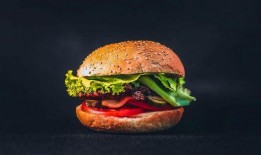 中国汉堡爆料视频播放,揭秘网红美食背后的真相