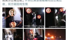 爆料犬道视频,视频爆料揭示不为人知的真实世界