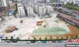 铜仁万山区最新爆料新闻,最新爆料揭示惊人真相