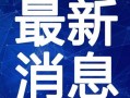 深圳婚礼爆料视频最新2020,时尚潮流与浪漫瞬间