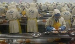 剥虾工人爆料视频大全,揭秘剥虾工人的辛酸与困境