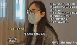刘鑫媳妇爆料视频播放,揭秘事件背后惊人真相