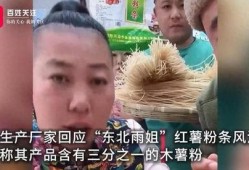 东北小黑姐爆料事件视频,揭秘事件背后真相