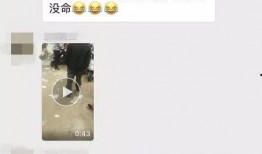 振文最新爆料,娱乐圈最新爆料背后的惊人真相