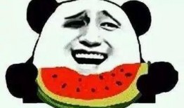 娱乐吃瓜菌子,揭秘娱乐圈那些不为人知的幕后故事