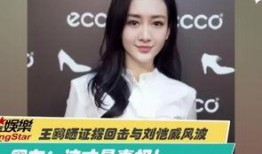 王霖徒弟爆料视频大全,揭秘幕后的精彩瞬间