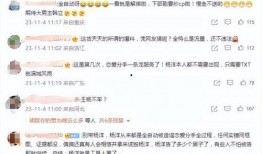 刘大锤爆料真的假的视频,真相还是炒作？