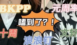 文轩视频爆料,揭秘娱乐圈幕后真相