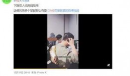 爆料犬道视频,视频爆料揭示不为人知的真实世界