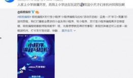 小伟爆料小程序视频,揭秘小程序背后的精彩瞬间