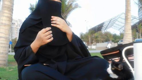 娱乐资讯君吃瓜,吃瓜群众背后的故事